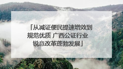从减证便民提速增效到规范优质 广西公证行业锐意改革蓬勃发展