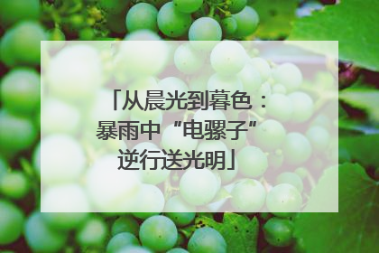 从晨光到暮色：暴雨中“电骡子”逆行送光明