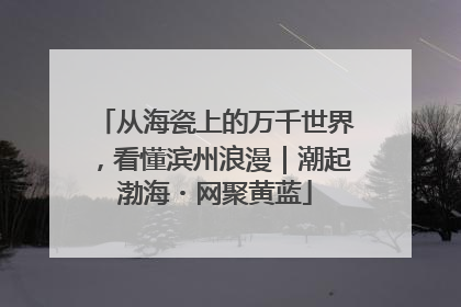 从海瓷上的万千世界，看懂滨州浪漫｜潮起渤海・网聚黄蓝