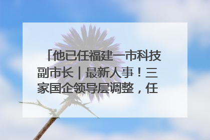 他已任福建一市科技副市长｜最新人事！三家国企领导层调整，任免多位政法系统干部