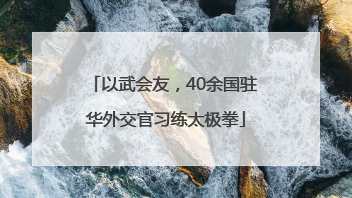 以武会友，40余国驻华外交官习练太极拳