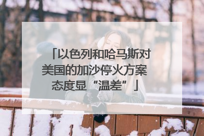 以色列和哈马斯对美国的加沙停火方案态度显“温差”