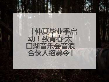 仲夏毕业季启动！致青春·太白湖音乐会音浪合伙人招募令