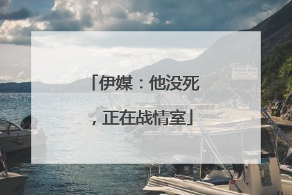 伊媒：他没死，正在战情室