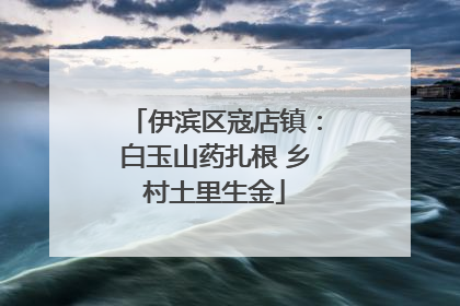 伊滨区寇店镇：白玉山药扎根 乡村土里生金