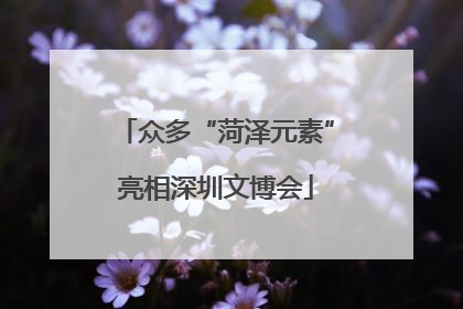 众多“菏泽元素”亮相深圳文博会