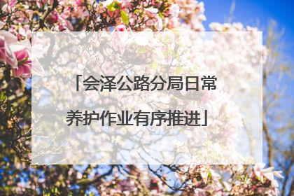 会泽公路分局日常养护作业有序推进