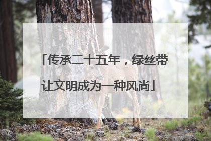 传承二十五年，绿丝带让文明成为一种风尚
