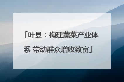 叶县：构建蔬菜产业体系 带动群众增收致富