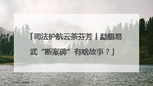 司法护航云茶芬芳丨勐腊易武“断案碑”有啥故事？
