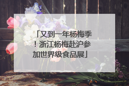 又到一年杨梅季！浙江杨梅赴沪参加世界级食品展