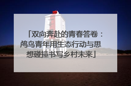 双向奔赴的青春答卷：鸬鸟青年用生态行动与思想碰撞书写乡村未来