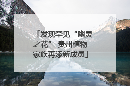 发现罕见“幽灵之花” 贵州植物家族再添新成员