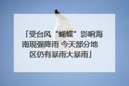 受台风“蝴蝶”影响海南现强降雨 今天部分地区仍有暴雨大暴雨