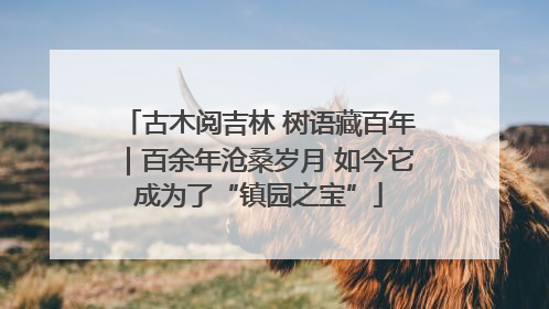 古木阅吉林 树语藏百年｜百余年沧桑岁月 如今它成为了“镇园之宝”