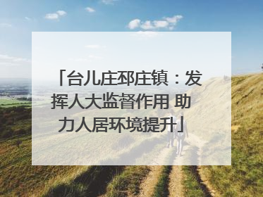 台儿庄邳庄镇：发挥人大监督作用 助力人居环境提升