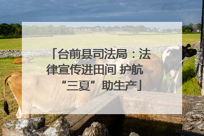 台前县司法局：法律宣传进田间 护航“三夏”助生产