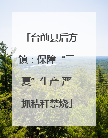 台前县后方镇：保障“三夏”生产 严抓秸秆禁烧