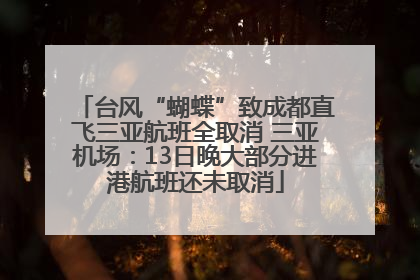 台风“蝴蝶”致成都直飞三亚航班全取消 三亚机场：13日晚大部分进港航班还未取消