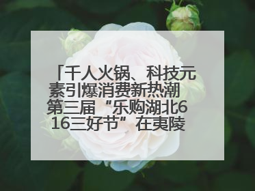 千人火锅、科技元素引爆消费新热潮 第三届“乐购湖北616三好节”在夷陵区盛大启幕