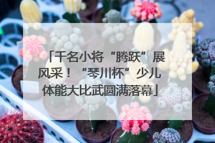 千名小将“腾跃”展风采！“琴川杯”少儿体能大比武圆满落幕