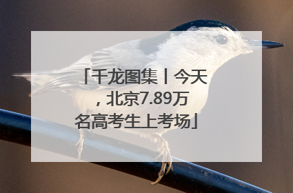 千龙图集丨今天，北京7.89万名高考生上考场