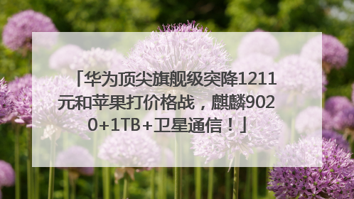 华为顶尖旗舰级突降1211元和苹果打价格战，麒麟9020+1TB+卫星通信！