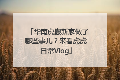 华南虎搬新家做了哪些事儿？来看虎虎日常Vlog