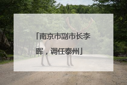 南京市副市长李晖，调任泰州