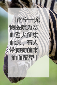南宁一宠物医院为贫血警犬征集血源，有人带狗狗前来抽血配型