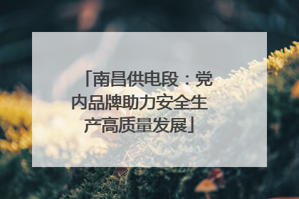 南昌供电段：党内品牌助力安全生产高质量发展