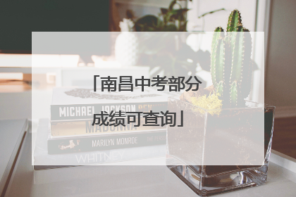 南昌中考部分成绩可查询