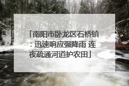 南阳市卧龙区石桥镇：迅速响应强降雨 连夜疏通河道护农田