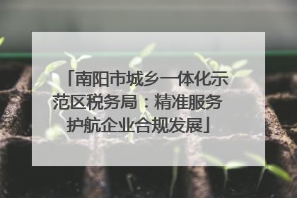 南阳市城乡一体化示范区税务局：精准服务护航企业合规发展