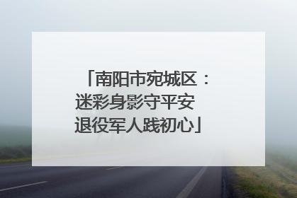 南阳市宛城区：迷彩身影守平安 退役军人践初心