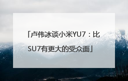 卢伟冰谈小米YU7：比SU7有更大的受众面