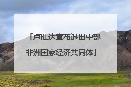 卢旺达宣布退出中部非洲国家经济共同体