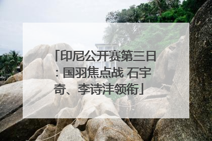 印尼公开赛第三日：国羽焦点战 石宇奇、李诗沣领衔