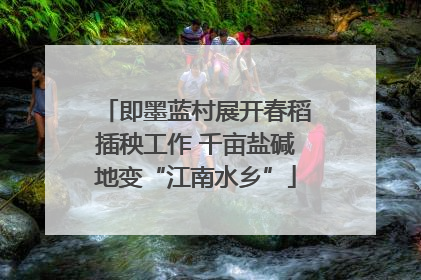 即墨蓝村展开春稻插秧工作 千亩盐碱地变“江南水乡”