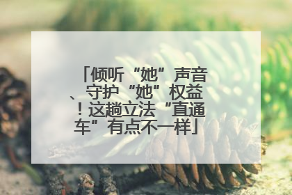 倾听“她”声音、守护“她”权益！这趟立法“直通车”有点不一样