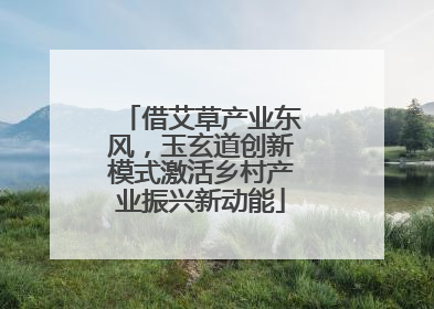 借艾草产业东风，玉玄道创新模式激活乡村产业振兴新动能