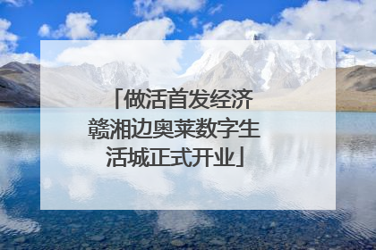 做活首发经济 赣湘边奥莱数字生活城正式开业