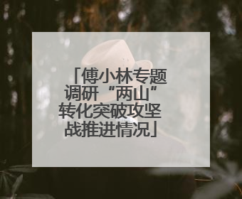 傅小林专题调研“两山”转化突破攻坚战推进情况