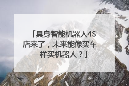 具身智能机器人4S店来了，未来能像买车一样买机器人？