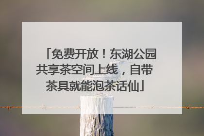 免费开放！东湖公园共享茶空间上线，自带茶具就能泡茶话仙