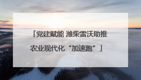 党建赋能 潍柴雷沃助推农业现代化“加速跑”