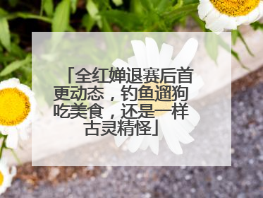 全红婵退赛后首更动态，钓鱼遛狗吃美食，还是一样古灵精怪