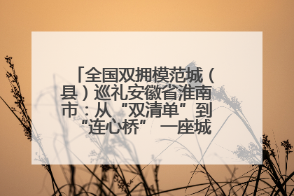 全国双拥模范城（县）巡礼安徽省淮南市：从“双清单”到“连心桥” 一座城的双拥密码