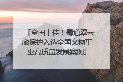 全国十佳！蜀道翠云廊保护入选全国文物事业高质量发展案例