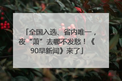 全国入选、省内唯一，夜“萧”去哪不发愁！《90早新闻》来了